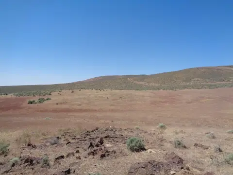 40-Acre Farmland Parcel with A-3 Zoning