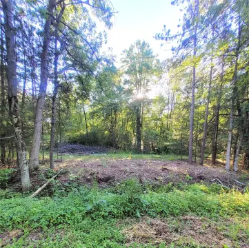 Wooded Recreational Land Parcel