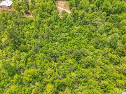 Unrestricted Land in Brierfield, AL