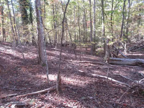 Westminster, SC Building Lot