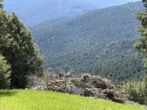 Timberland Recreation Property