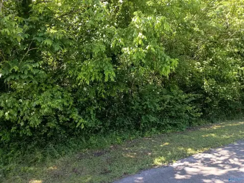 Landlocked Lot in Attalla, AL