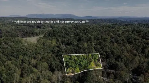 Vacant Land in Ellijay, GA