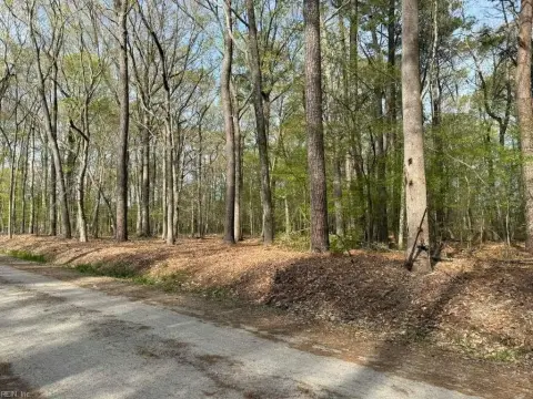 Virginia Beach Wooded Land