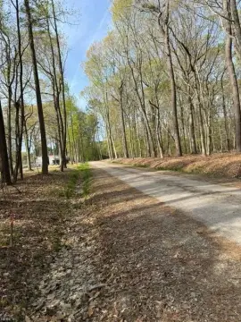 Virginia Beach Wooded Land Parcel