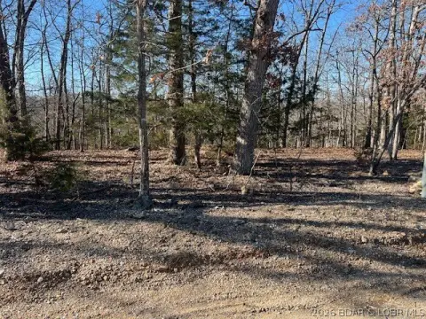 Residential Lot in Four Seasons