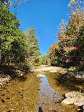 Forested Land with Creek