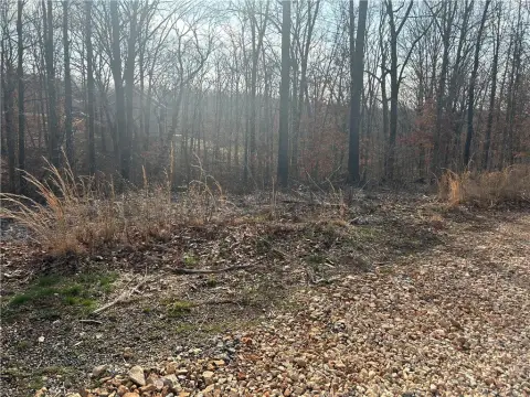 Bella Vista Wooded Lot