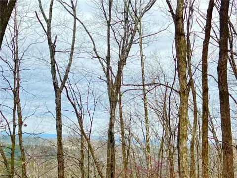 Land in Rural Berryville Location