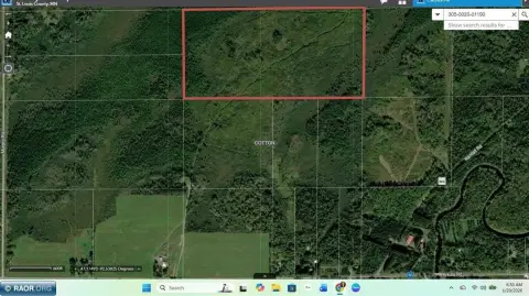 80 Acres Hunting Land, Cotton