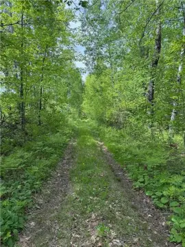 Recreation Hunting Land Parcel