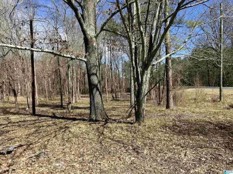 Highway 11 Acreage in Steele