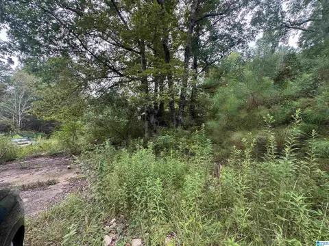 Wooded Hunting and Farm Land