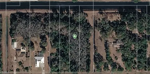 Vacant Land Lot with Wetland Areas