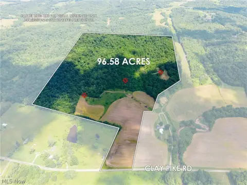 Hunting Land with Food Plots