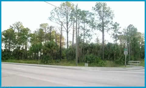 Prime Commercial Land in Naples