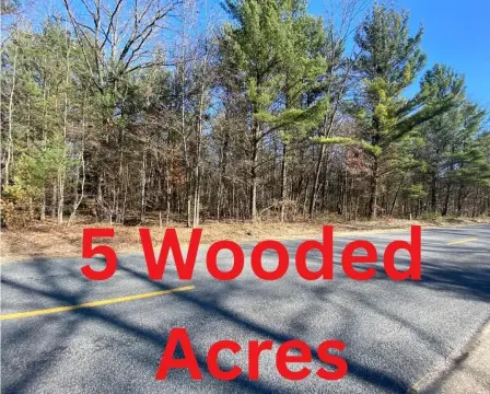 Wooded Land in North Muskegon