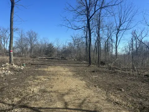 Wooded Land Parcel in Adrian