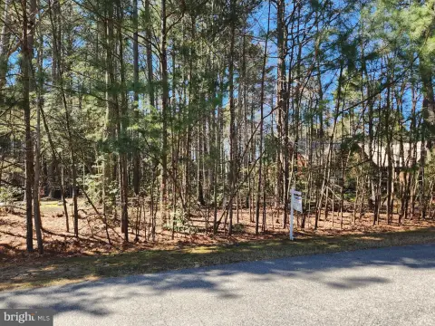 Residential Land in Swan Point