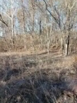 Land Near Clarksville, Arkansas