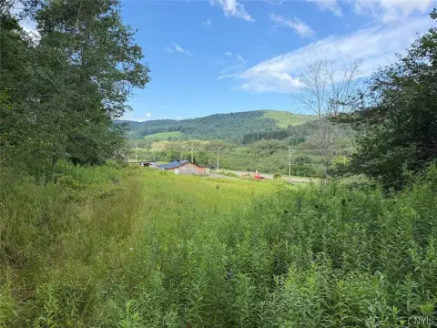 Wooded Hunting Land