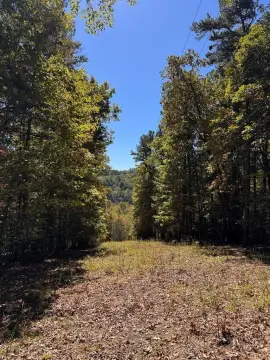 Unrestricted Mountain Land in Murphy