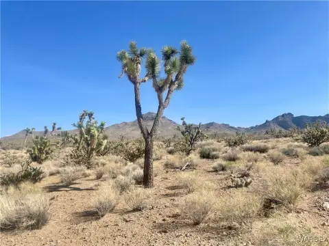 2.5 Acres in Dolan Springs