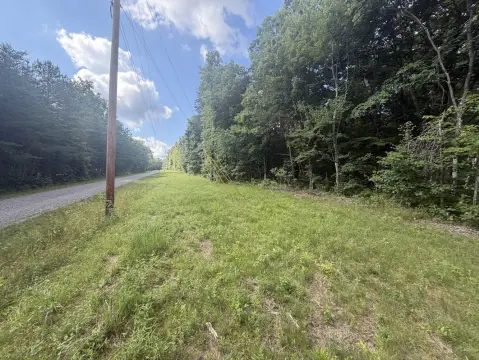 Timber Hunting Land