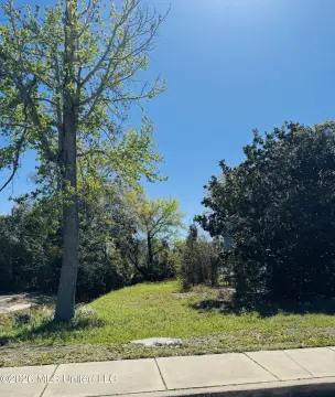 Downtown Commercial Lot
