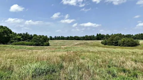 Rolling Pastureland with Three Ponds