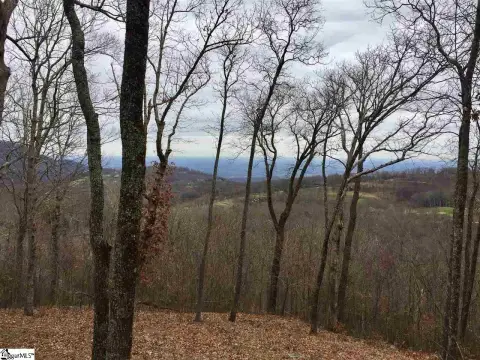 Landrum, SC Residential Lot