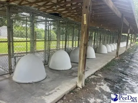Hartsville Commercial Property with Kennels