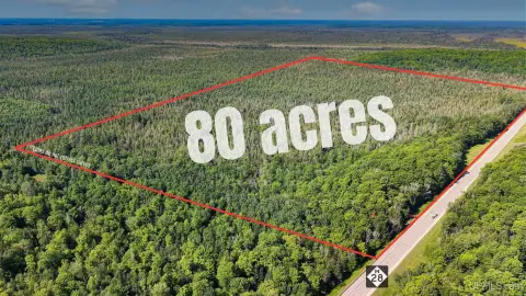 Wooded Hunting Land