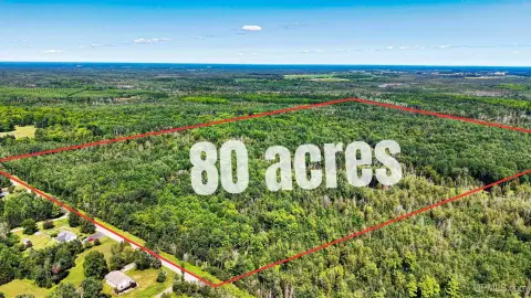 Hunting Land with Internal Trails