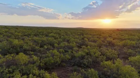 Hunting Land with Grazing Use