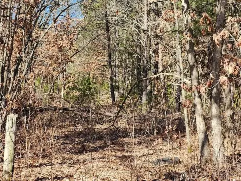Lyndon Station Hunting and Building