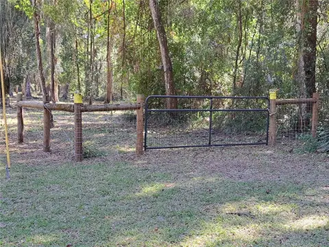 Gainesville Land Near University of Florida