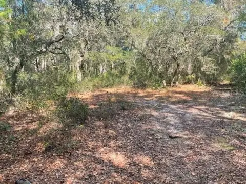 Wooded Residential Lot with Well