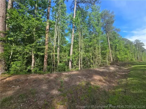 Adjoining Wooded Recreation Lots