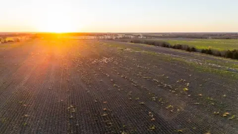 Agricultural Land with Water Features