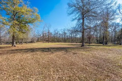 Residential Land Near Sam Houston Park