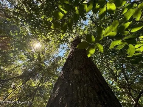 10.4 Acres Development Opportunity