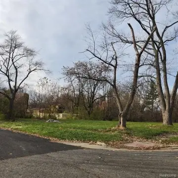 Detroit Vacant Land Portfolio