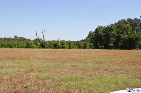 Hartsville Land with Road Frontage