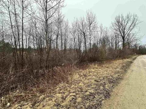 Wooded Waterfront Land