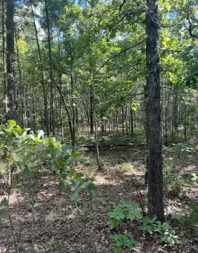 Unrestricted Land Near Robbers Cave