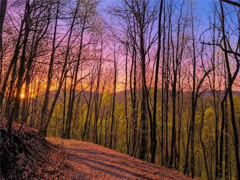 Expansive Mountain Tract with Views