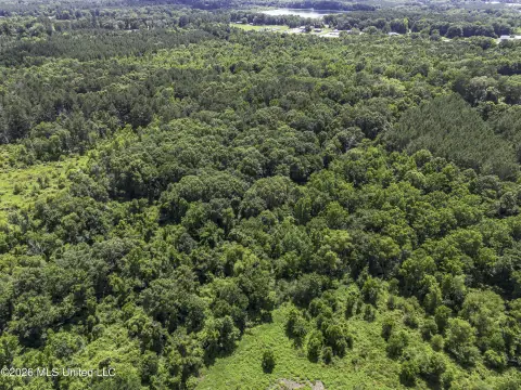 Zoned Agricultural Wooded Acreage