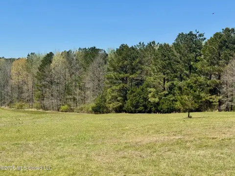 Acreage in Cedar Hill Area