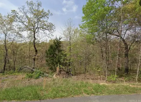 Residential Building Lot in Subdivision